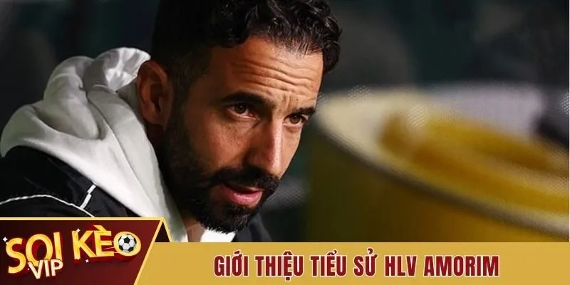 Tìm Hiểu Về Tiểu Sử HLV Amorim - Bậc Thầy Bóng Đá Tài Ba 1 Giới thiệu tiểu sử HLV Amorim