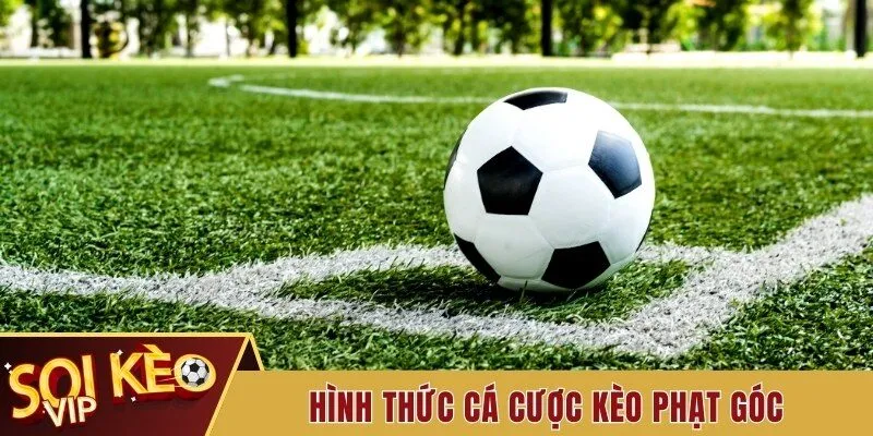 Kinh Nghiệm Soi Kèo Phạt Góc Đến Từ Chuyên Gia Tiềm Năng 2 Hình thức cá cược kèo phạt góc trong bóng đá