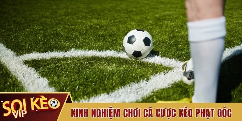 Kinh Nghiệm Soi Kèo Phạt Góc Đến Từ Chuyên Gia Tiềm Năng 3 Kinh nghiệm đặt cược tỷ lệ kèo phạt góc