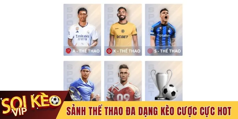 Nhà Cái May88 - Sân Chơi Cá Cược Xanh Chín Nhất Thời Đại 2 Sảnh Thể thao mang đến đa dạng kèo cược cực hot