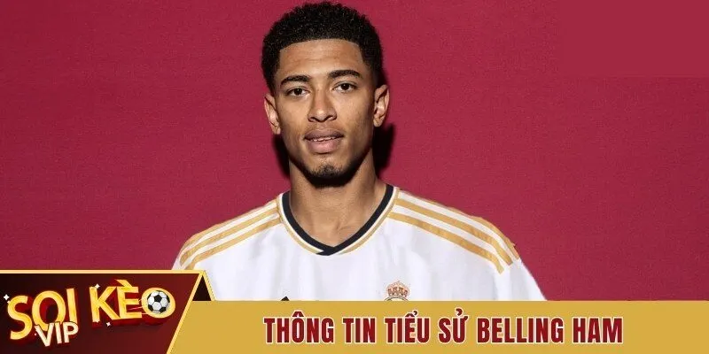 Tiểu Sử Belling Ham - Ngôi Sao Trẻ Tuổi Đầy Tài Năng 1 Thông tin tiểu sử Belling Ham