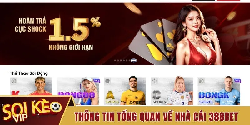 Nhà Cái 388bet - Thương Hiệu Uy Tín Nhận Cơn Mưa Lời Khen 1 Thông tin tổng quan về nhà cái 388bet